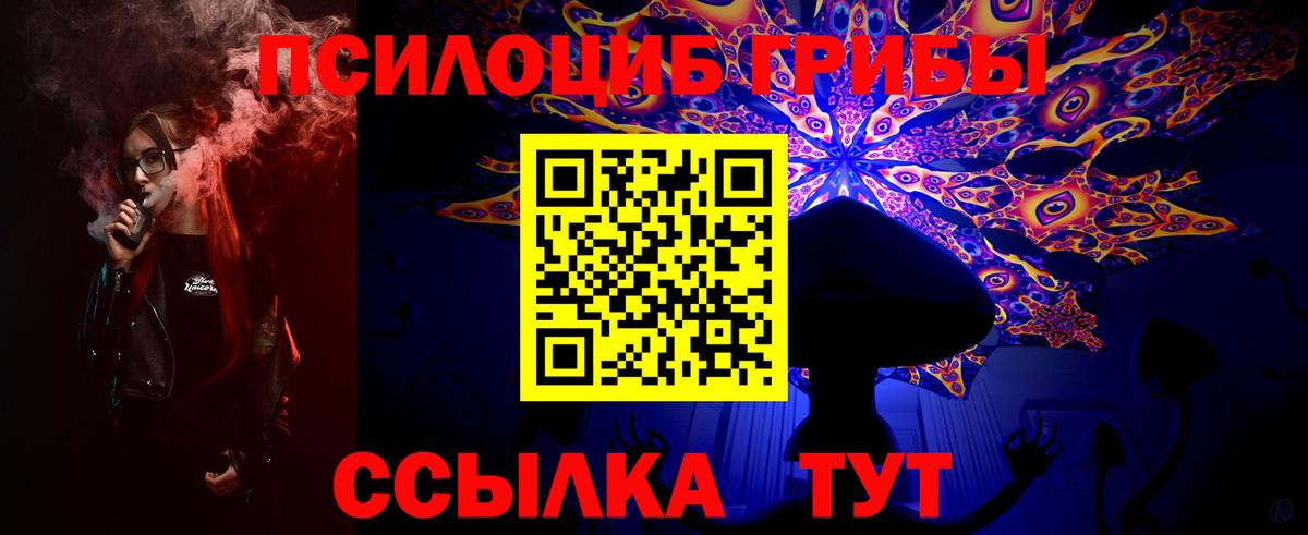 Псилоцибиновые грибы MAGIC MUSHROOMS Касимов